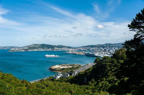 Photo of property in 141 Nicholson Road, Khandallah, Wellington, 6035