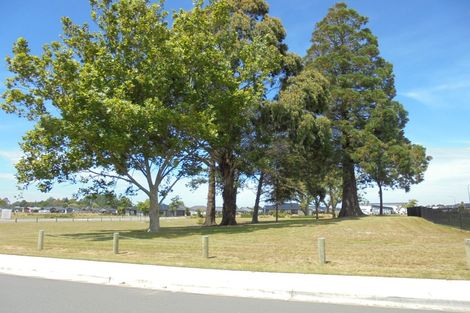 Photo of property in 6 John Raven Lane, Woodend, 7610