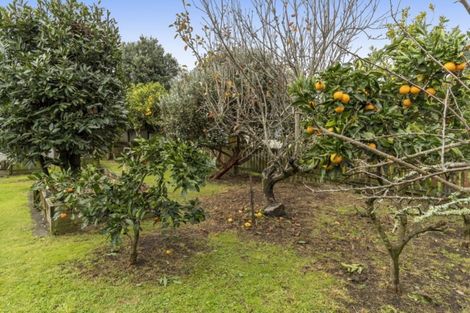 Photo of property in 8 Crescent Road, Otumoetai, Tauranga, 3110