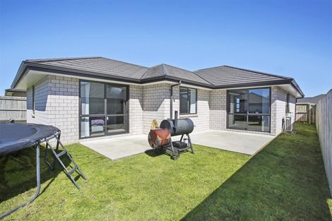 Photo of property in 4 Matawai Puna Drive, Pukekohe, 2120