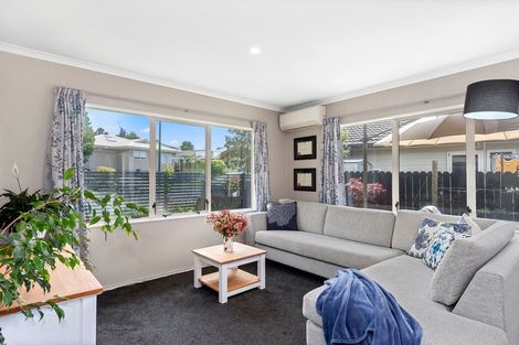 Photo of property in 25 Sunvale Place, Gate Pa, Tauranga, 3112