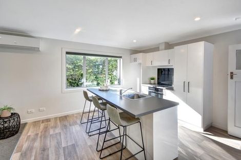Photo of property in 211 Oxford Street, South Dunedin, Dunedin, 9012