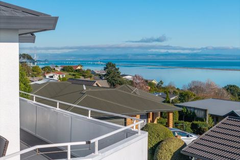 Photo of property in 64 Tresillian Avenue, Marybank, Nelson, 7010