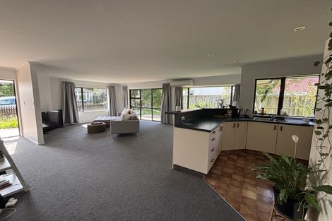 Photo of property in 109e Halifax Street East, The Wood, Nelson, 7010