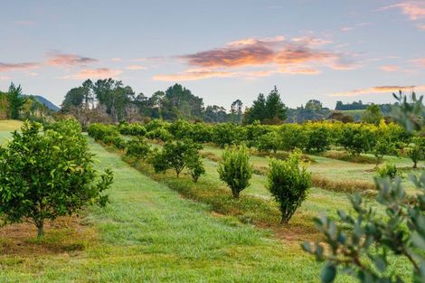 Photo of property in 694a State Highway 2, Tahawai, Katikati, 3170