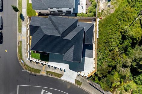 Photo of property in 20 Hughs Way, Flat Bush, 2019