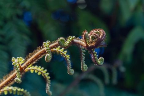 Photo of property in 52 Matatua Road, Raumati Beach, Paraparaumu, 5032
