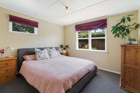 Photo of property in 20 Kenny Street, Waihi, 3610