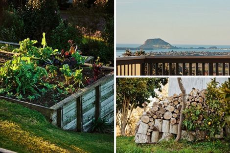 Photo of property in 275b Minden Road, Minden, Tauranga, 3176