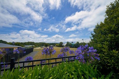 Photo of property in 14 Yarmouth Street, Kaikoura, 7300