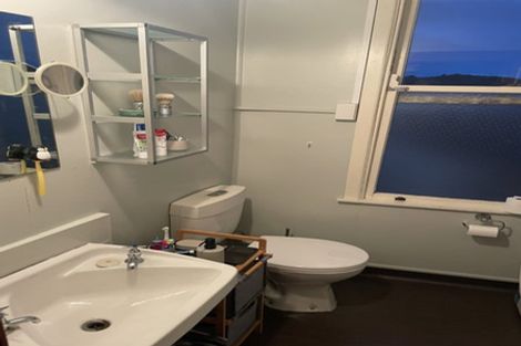 Photo of property in 55 Hankey Street, Mount Cook, Wellington, 6011
