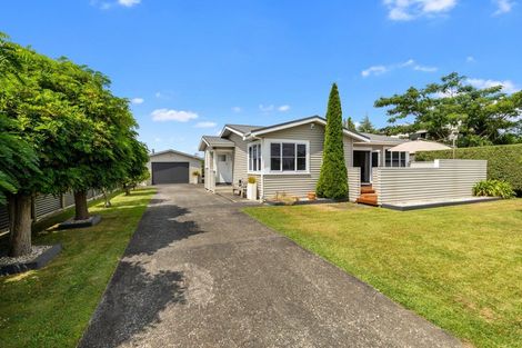 Photo of property in 17 Page Street, Morrinsville, 3300