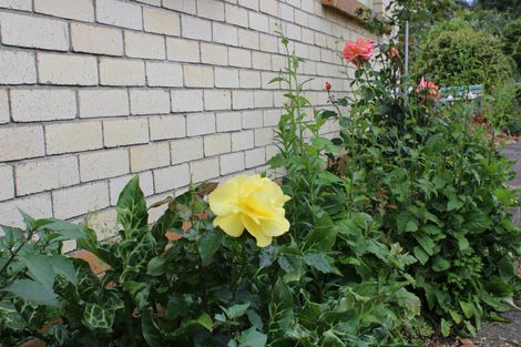 Photo of property in 20 Alexandra Street, Huntly, 3700