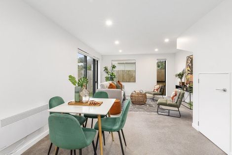 Photo of property in 8/124 Britomart Street, Berhampore, Wellington, 6023