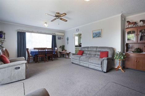 Photo of property in 97 Princes Street, Netherby, Ashburton, 7700