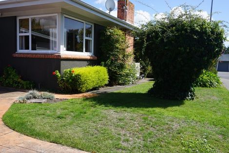 Photo of property in 28 Campbell Street, Havelock North, 4130