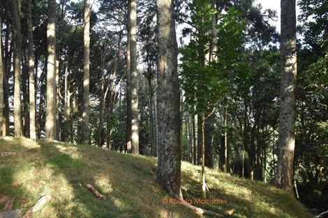 Photo of property in 59 Ariels Lane, Paparoa, Maungaturoto, 0583