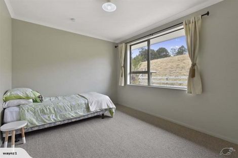 Photo of property in 179 Ferndale Road, Maramarua Forest, Pokeno, 2471