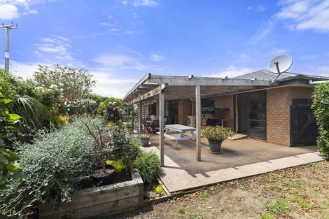 Photo of property in 521 Clark And Denize Road, Pukekawa, Tuakau, 2696