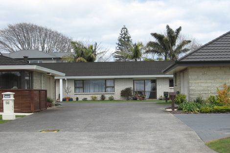 Photo of property in 86b Seventh Avenue, Tauranga, 3110