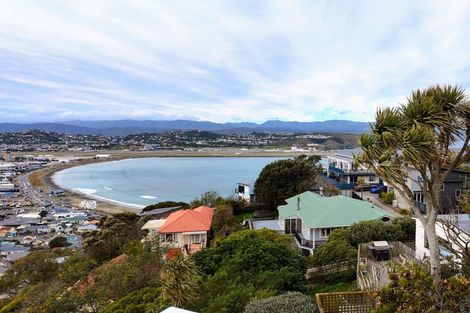 Photo of property in 133 Hornsey Road, Melrose, Wellington, 6023