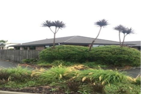 Photo of property in 38/36 Mill Street, Westport, 7825