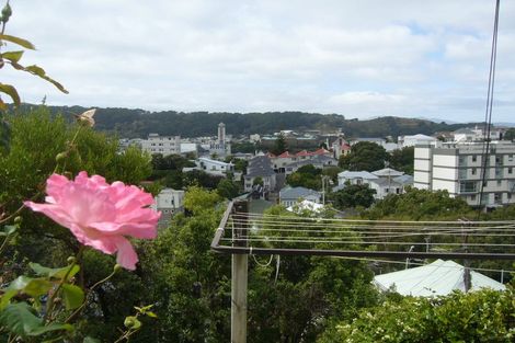 Photo of property in 28 Ohiro Road, Aro Valley, Wellington, 6021