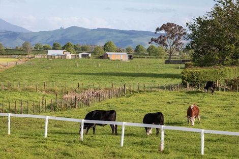 Photo of property in 108 Old Netherton Road, Netherton, Paeroa, 3672