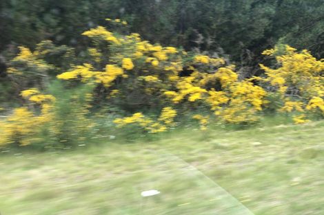 Photo of property in 91a Hebron Road, Waiake, Auckland, 0630