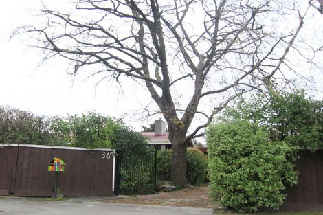 Photo of property in 36a Elbourne Street, Taradale, Napier, 4112