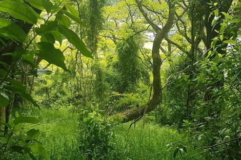 Photo of property in 24 Parawera Drive, Acacia Bay, Taupo, 3330