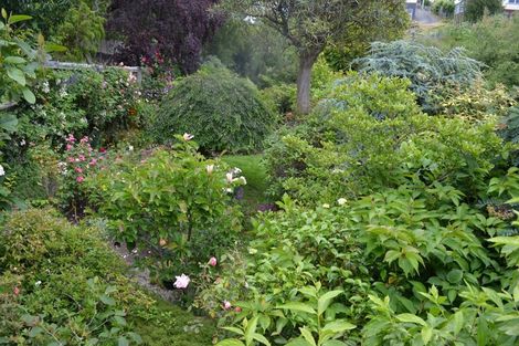 Photo of property in 12 Ure Street, South Hill, Oamaru, 9400