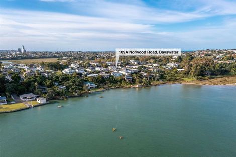 Photo of property in 109a Norwood Road, Bayswater, Auckland, 0622