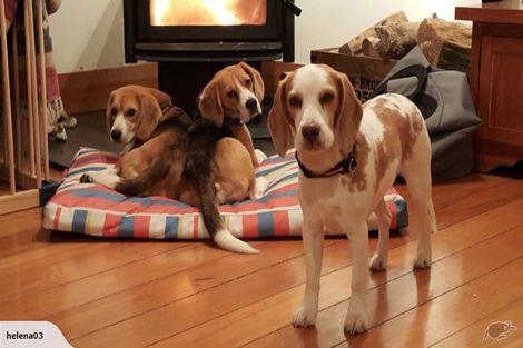 Photo of property in 30 Belvedere Road, Hataitai, Wellington, 6021