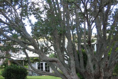 Photo of property in 29 Weston Avenue, Mount Albert, Auckland, 1025