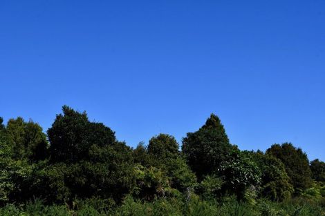 Photo of property in 37 South Terrace Road, Karamea, 7893