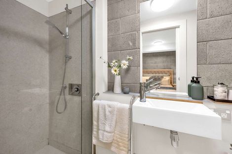 Photo of property in 3uj Papawai Terrace, Mount Cook, Wellington, 6021