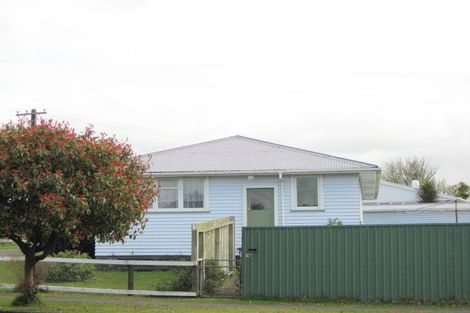 Photo of property in 101 Brecon Road, Stratford, 4332