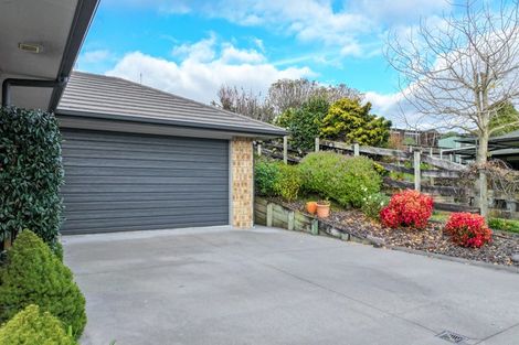 Photo of property in 38 Cambridge Street, Putaruru, 3411