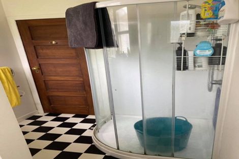 Photo of property in 52 Claude Street, Fairfield, Hamilton, 3214