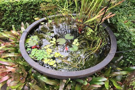 Photo of property in 1 Haines Terrace, Aro Valley, Wellington, 6021