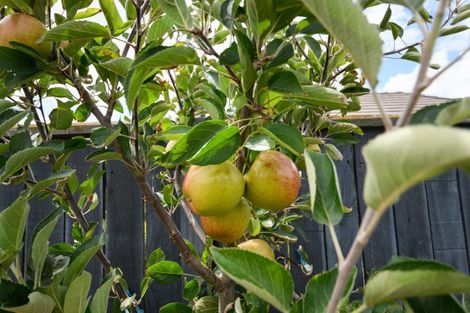 Photo of property in 32 Dogwood Way, Milson, Palmerston North, 4414