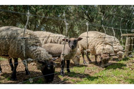 Photo of property in 11 Parkland Drive, Pakaraka, Kaikohe, 0472