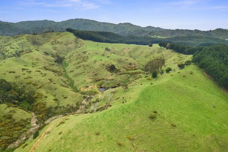 Photo of property in 284 Elgood Road, Glen Massey, Ngaruawahia, 3793