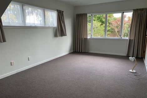 Photo of property in 53 Papanui Road, Merivale, Christchurch, 8014