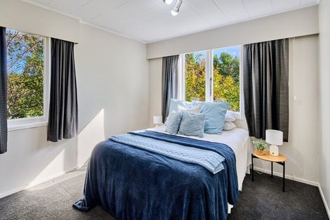 Photo of property in 157 Mitchell Street, Brooklyn, Wellington, 6021