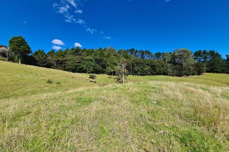 Photo of property in 1702 Colville Road, Amodeo Bay, Coromandel, 3584