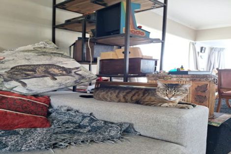 Photo of property in 8 Ellen Avenue, Hillcrest, Auckland, 0627