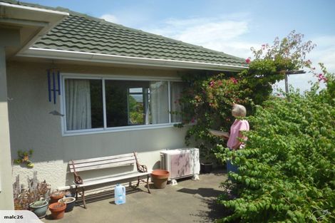 Photo of property in 24 Blair Terrace, Richmond, 7020