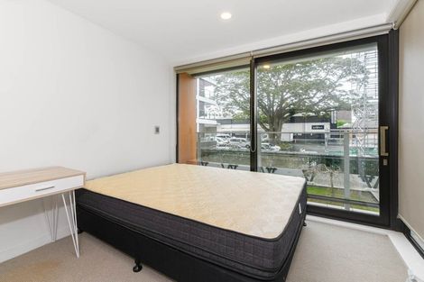 Photo of property in 106/10 Lion Place, Epsom, Auckland, 1023